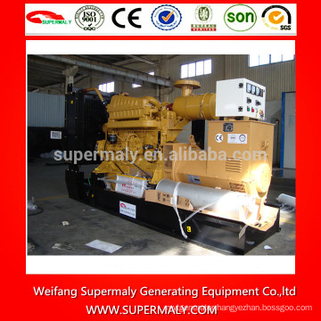 OEM high performance 250kw generator with CE,ISO,EPA